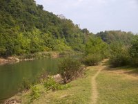 Previous